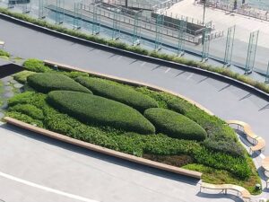 UpdateProfiPhoto2020 200710 332 0, MJ GARDENS เราเป็นผู้เชี่ยวชาญด้านการจัดสวน