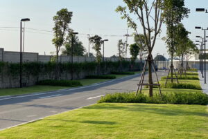 MJ GARDENS เราเป็นผู้เชี่ยวชาญด้านการจัดสวน LINE ALBUM Final ๒๒๐๓๑๘ 21 1, MJ GARDENS เราเป็นผู้เชี่ยวชาญด้านการจัดสวน